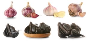 Tỏi đen là tỏi trắng được lên men ở nhiệt độ xác định trong một thời gian dài