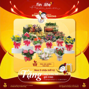 Hoa Tươi